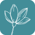 icon box image