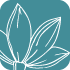 icon box image